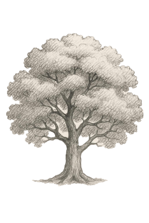 Naturaleza en hospedaje en Tepoztlán, Morelos.